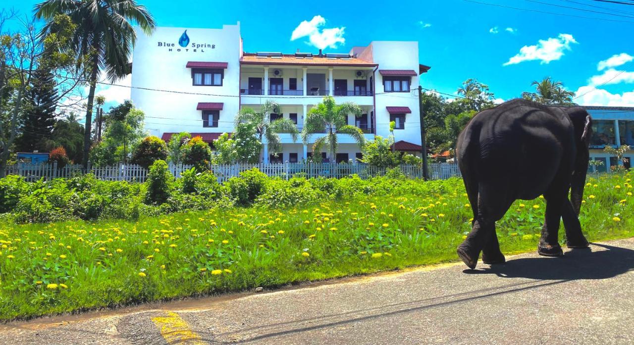 Blue Spring Hotel 瓦都瓦 外观 照片